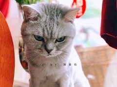 -不舍昼夜咖啡馆