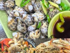 -贞姨美食·老字号海鲜大排档