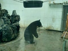 -广东茂名森林公园