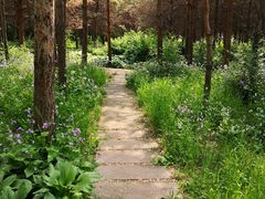 -长春市南湖公园