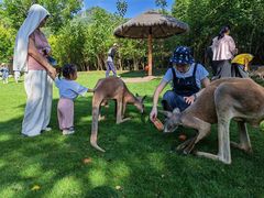 -泉州海丝野生动物世界