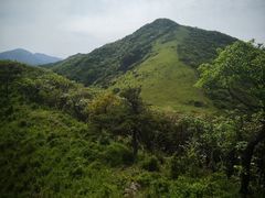 -秦岭风景区