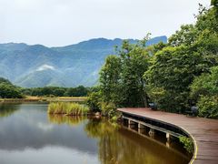 -大九湖