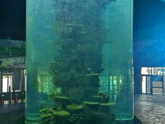 -青岛嘉年华主题乐园