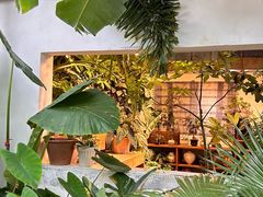 -自由生长植物工作室(深港花卉中心店)