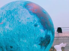 -菊园百果园