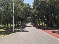 -艾溪湖湿地公园