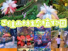 -正佳雨林生态植物园