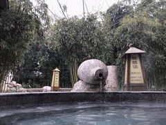 -金孔雀温泉旅游度假村