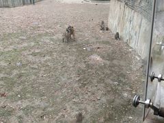 -无锡动物园·太湖欢乐园