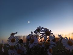 -郑州方特梦幻王国