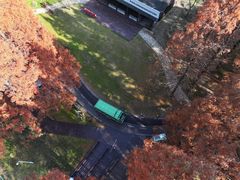 -黄海国家森林公园