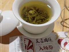 -芙蓉国粹川剧变脸秀(省川剧院)