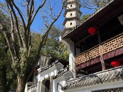 -江心屿景区