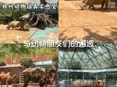 -郑州市动物园