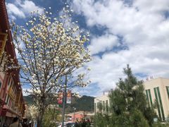 -青峰峡国家森林公园