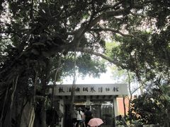 -鼓浪屿钢琴博物馆