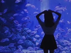 -成都浩海立方海洋公园