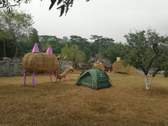 -松山湖南湖湾露营营地