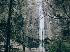 -秦岭风景区