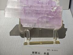 -湖南省地质博物馆