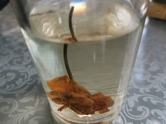 金莲花茶-五台山正觉全素斋