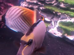 -五缘湾悦都汇购物中心