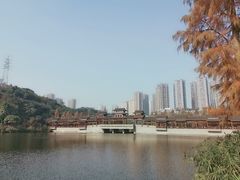 -重庆彩云湖湿地公园