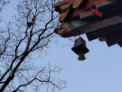 -八大处公园