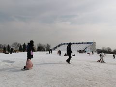-绿野森林乐园冰雪季