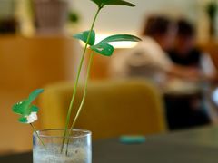 -fishtank鱼缸咖啡(三山街店)