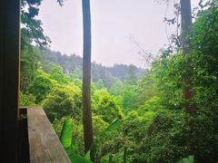 -生态园山庄(森林公园店)