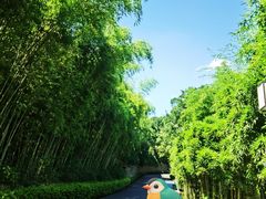 -天目湖御水温泉·度假酒店