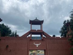 -彩色沙林风景区