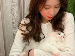 -袖虎·猫馆(体育西路店)