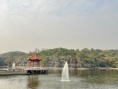 -广州莲花山旅游区