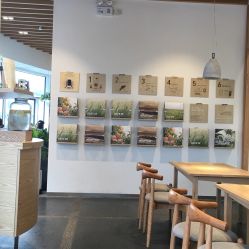 -悦诗风吟innisfree