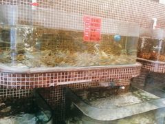 -黄泥岗·地道湖北菜(奥特莱斯店)