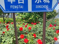 -百荣世贸商城