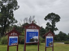 -铁山坪森林公园