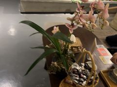 -施奈儿.洗头頭療.按摩SPA.采耳(上梅林店)