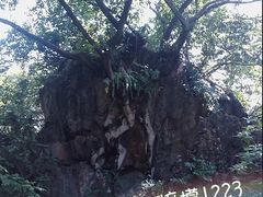 -天河潭旅游度假区