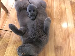 -壹人壹像工作室(购物公园店)