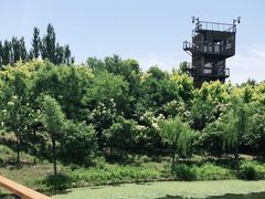 -东郊湿地公园