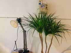 -甘单茶事小馆(洋河店)