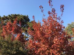 -香山公园-东宫门售票处