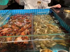 -苏宁广场·城市奥特莱斯(天府立交店)