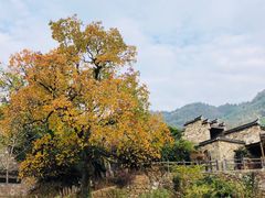 -塔川景区