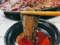 -铜元老码头鳝鱼火锅