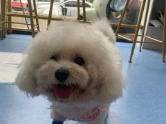 -博特宠物医院24h犬猫全科.骨科·异宠